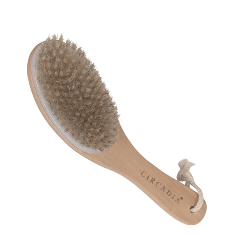 Circadia Body Brush (100% off)