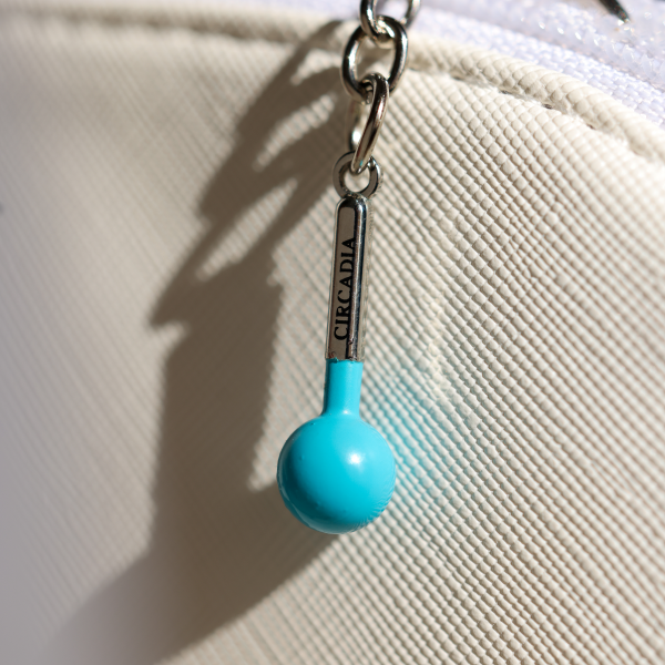 Mini Charm Keychains