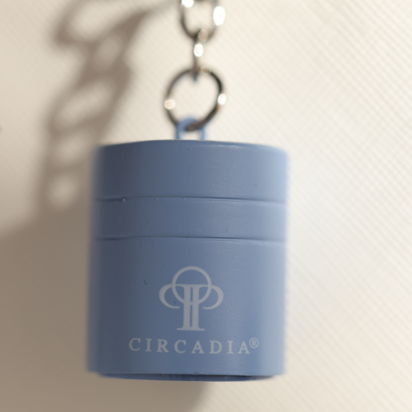 Mini Charm Keychains